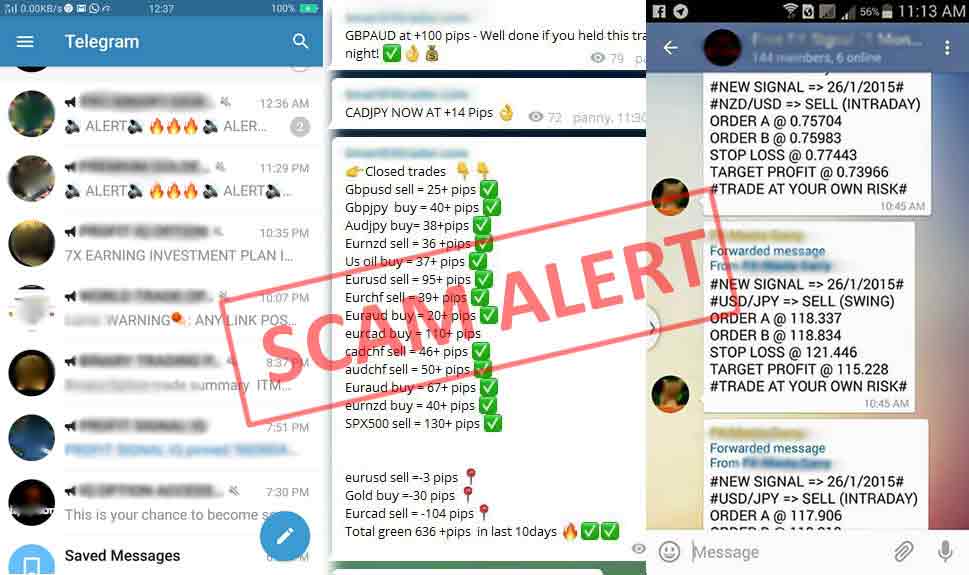 penyedia-sinyal-trading-scam